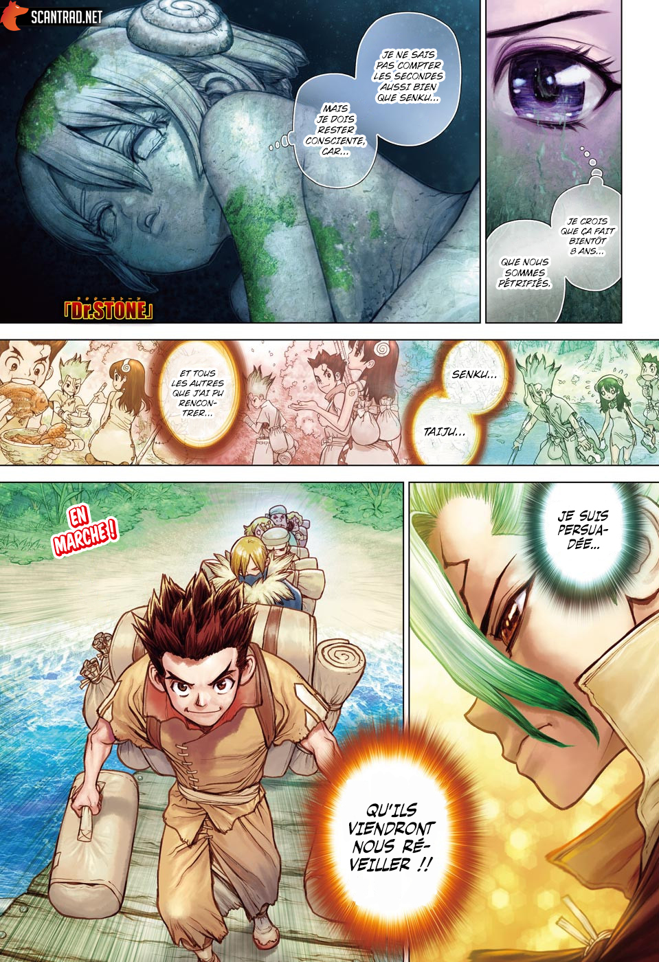 Dr. Stone: Chapter 206 - Page 1